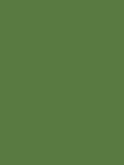 Verfspray Grasgroen